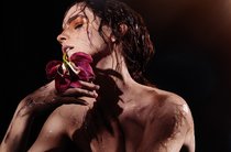 Эмма Уотсон в фотосессии «Natural Beauty»: emma-watson-1_Starbeat.ru